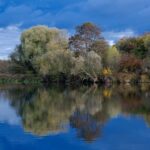 Tranquil autumn scene with trees reflecting in a calm lake under a cloudy sky.