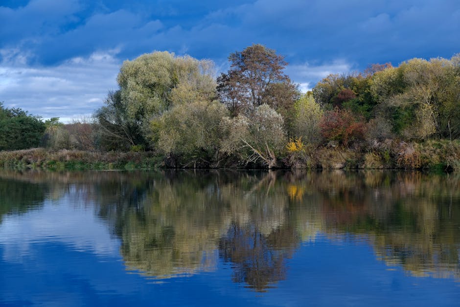 Tranquil autumn scene with trees reflecting in a calm lake under a cloudy sky.