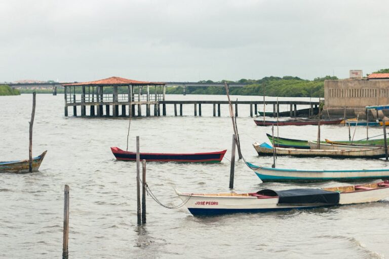 Vibrant fishing boats moored on a cloudy day in São Cristóvão, Sergipe, Brazil.