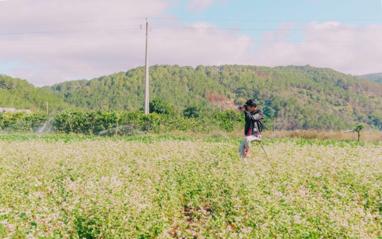 A photographer taking pictures in a lush, green countryside field on a sunny day.