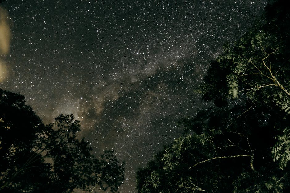 A captivating view of the Milky Way galaxy surrounded by silhouettes of trees at night.