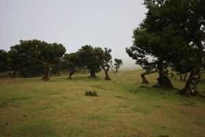 Free stock photo of 2025 travel, adventure, atlantic coast