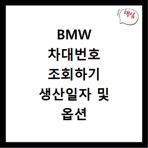 BMW 차대번호 조회하기 생산일자 및 옵션 정보 한눈에 확인