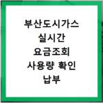 부산도시가스 실시간 요금조회 사용량 확인 납부 혜택 홈페이지 바로가기