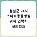철원군 24시 스마트동물병원 위치 연락처 전화번호