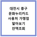 대전시 중구 문화누리카드 사용처 가맹점 알아보기 잔액조회 방법까지