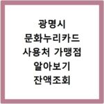 광명시 문화누리카드 사용처 가맹점 알아보기 잔액조회 방법까지