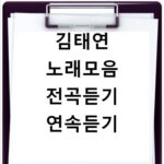 김태연 노래모음 전곡듣기 연속듣기