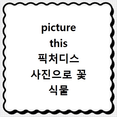 picture this 픽처디스 사진으로 꽃 식물 찾는 앱 어플