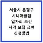 서울시 은평구 시니어클럽 일자리 조건 자격 모집 급여 신청방법