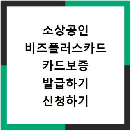 소상공인 비즈플러스카드 카드보증 발급하기 신청하기 1천만원 6개월