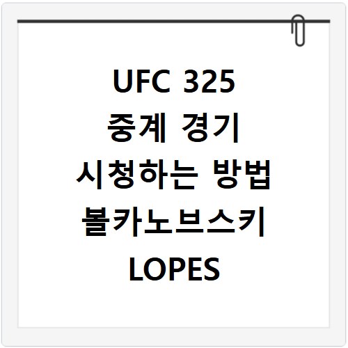 UFC 325 중계 경기 시청하는 방법 볼카노브스키 LOPES 2