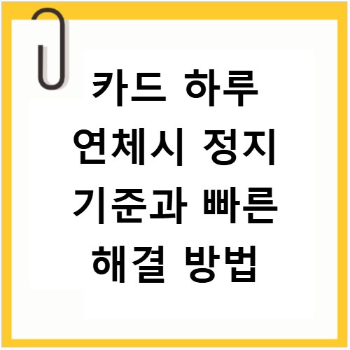 카드 하루 연체시 정지 기준과 빠른 해결 방법