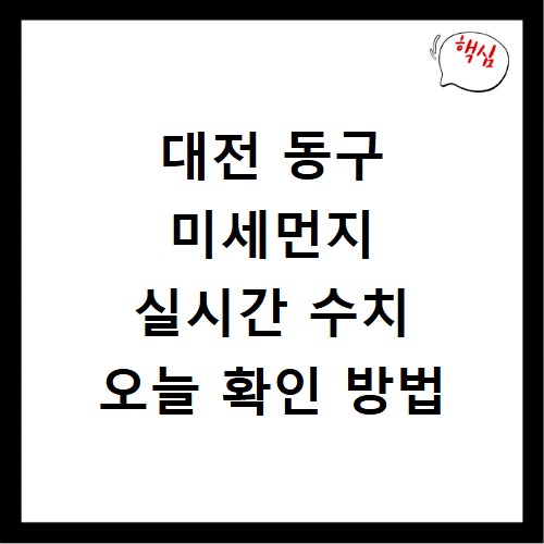 대전 동구 미세먼지 실시간 수치 오늘 확인 방법