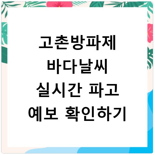고촌방파제 바다날씨 실시간 파고 예보 확인하기