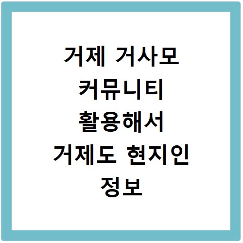 거제 거사모 커뮤니티 활용해서 거제도 현지인 정보 얻는 법