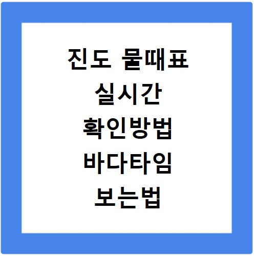 진도 물때표 실시간 확인방법 바다타임 보는법