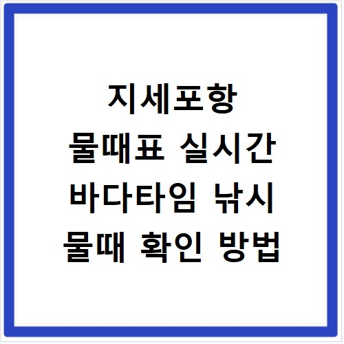 지세포항 물때표 실시간 바다타임 낚시 물때 확인 방법