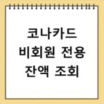 코나카드 비회원 전용 잔액 조회