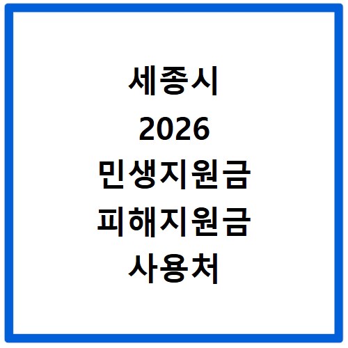 세종시 2026 민생지원금 피해지원금 사용처 총정리