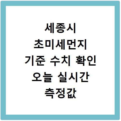 세종시 초미세먼지 기준 수치 확인 오늘 실시간 측정값 확인하기