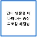 간이 안좋을 때 나타나는 증상 피로감 해결법