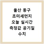 울산 동구 초미세먼지 오늘 실시간 측정값 공기질 수치 확인하기