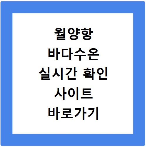 월양항 바다수온 실시간 확인 사이트 바로가기