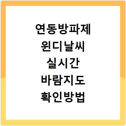 연동방파제 윈디날씨 실시간 바람지도 확인방법
