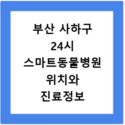 부산 사하구 24시 스마트동물병원 위치와 진료정보