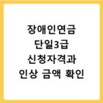 장애인연금 단일3급 신청자격과 인상 금액 확인