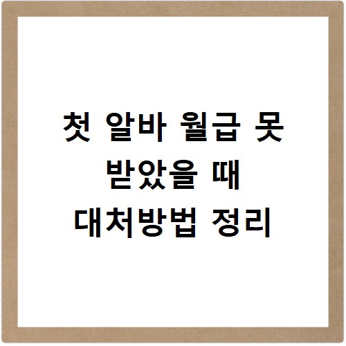 첫 알바 월급 못 받았을 때 대처방법 정리