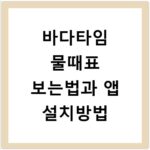 바다타임 물때표 보는법과 앱 설치방법