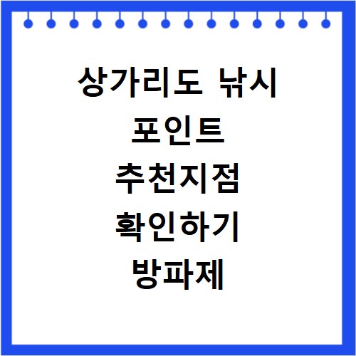 상가리도 낚시 포인트 추천지점 확인하기 방파제 포함
