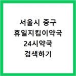 서울시 중구 휴일지킴이약국 24시약국 검색하기