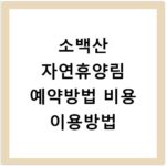 소백산 자연휴양림 예약방법 비용 이용방법