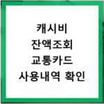 캐시비 잔액조회 교통카드 사용내역 확인