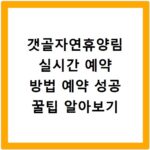 갯골자연휴양림 실시간 예약 방법 예약 성공 꿀팁 알아보기
