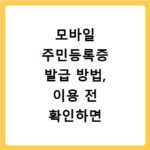 모바일 주민등록증 발급 방법, 이용 전 확인하면 좋은 정보