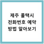 제주 콜택시 전화번호 예약 방법 알아보기