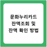문화누리카드 잔액조회 및 잔액 확인 방법