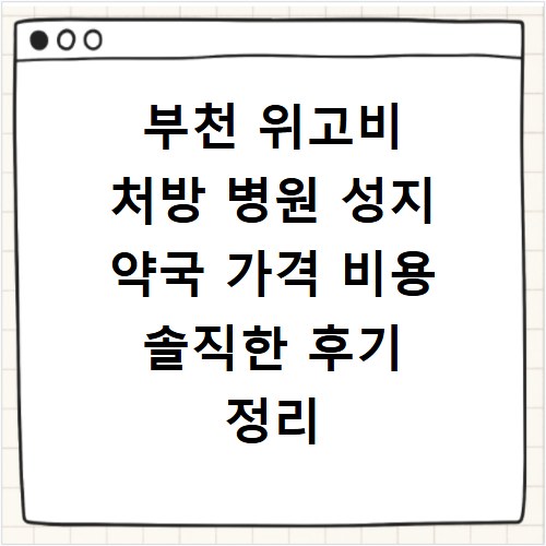 부천 위고비 처방 병원 성지 약국 가격 비용 솔직한 후기 정리