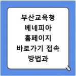 부산교육청 베네피아 홈페이지 바로가기 접속 방법과 이용 팁 정리