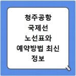 청주공항 국제선 노선표와 예약방법 최신 정보 한 번에 확인하기