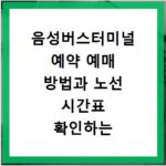 음성버스터미널 예약 예매 방법과 노선 시간표 확인하는 법