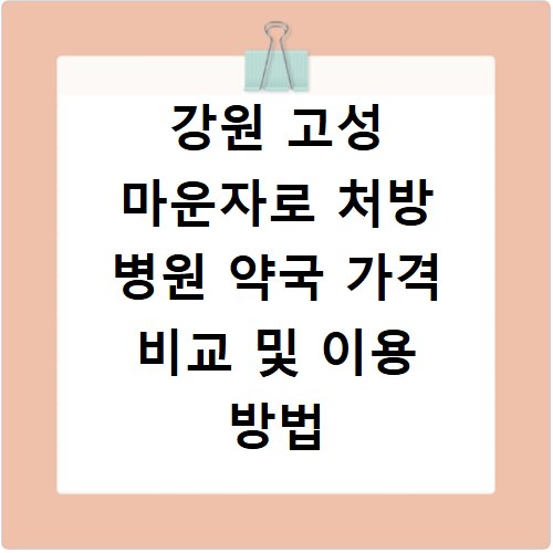 강원 고성 마운자로 처방 병원 약국 가격 비교 및 이용 방법 정리