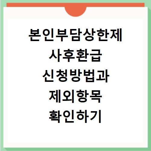 본인부담상한제 사후환급 신청방법과 제외항목 확인하기