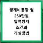 생계비통장 월 250만원 압류방지 조건과 개설방법 확인