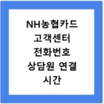 NH농협카드 고객센터 전화번호 상담원 연결 시간 및 분실 신고 총정리