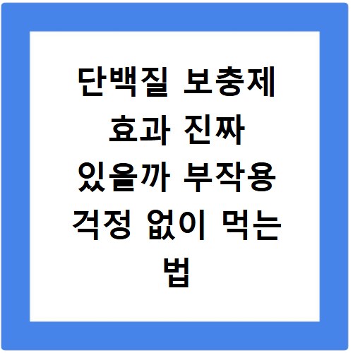 단백질 보충제 효과 진짜 있을까 부작용 걱정 없이 먹는 법 총정리